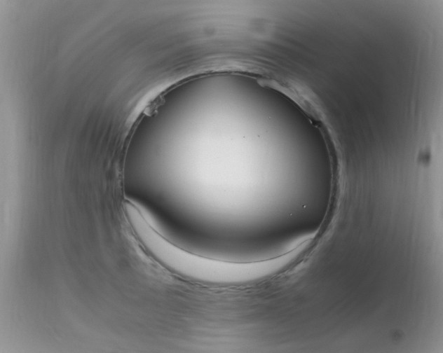 X0000110951089200907022151