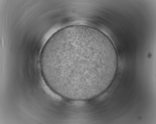 X0000110951090200907022151