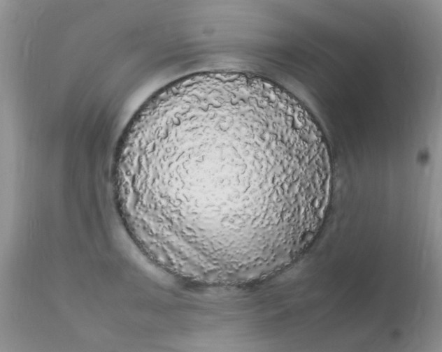 X0000110951091200907022151