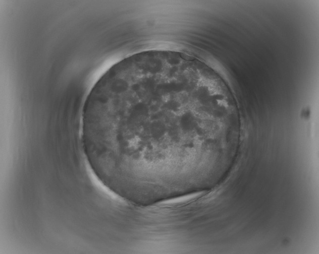 X0000110951095200907022151