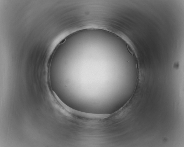 X0000110951096200907022151