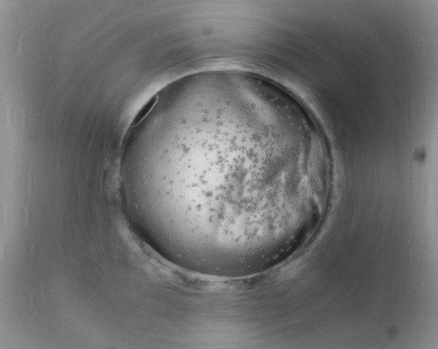 X0000110951097200907022151