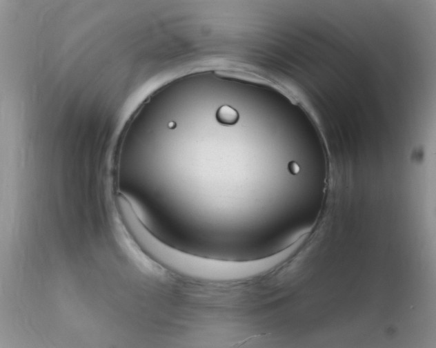 X0000110951098200907022151