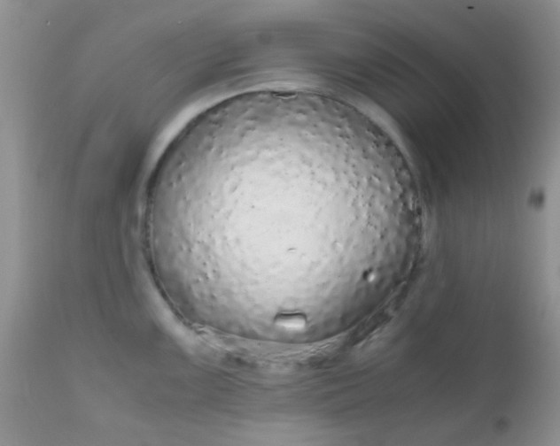 X0000110951099200907022151