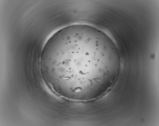 X0000110951100200907022151