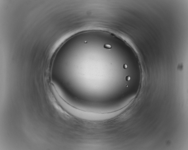 X0000110951101200907022151