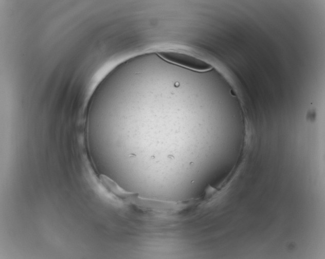 X0000110951102200907022151