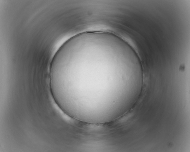 X0000110951103200907022151