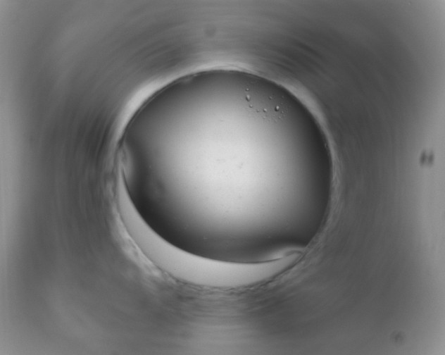 X0000110951104200907022151