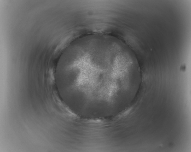 X0000110951106200907022150