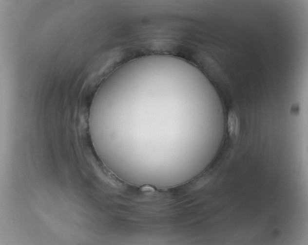 X0000110951107200907022150