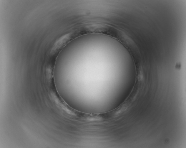 X0000110951108200907022150