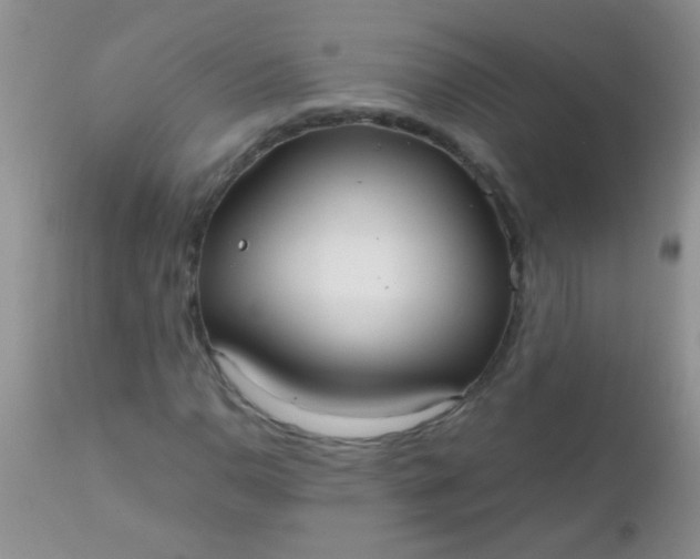 X0000110951110200907022150