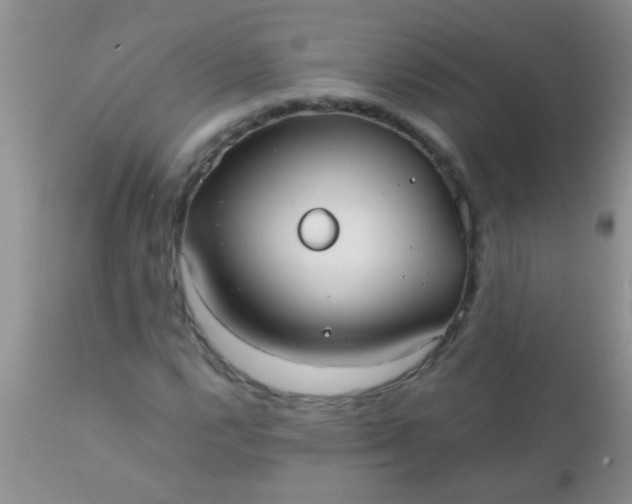 X0000110951112200907022150