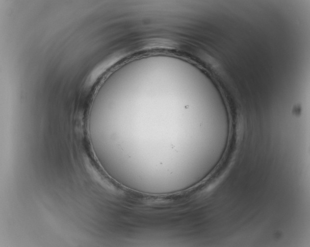 X0000110951113200907022150