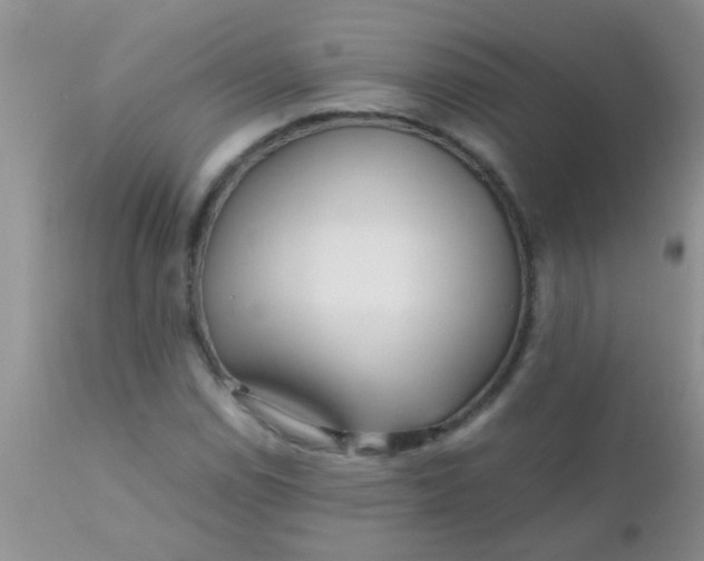 X0000110951114200907022150