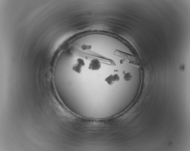 X0000110951115200907022150