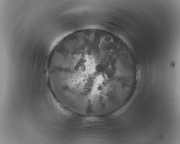 X0000110951117200907022150