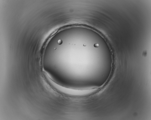 X0000110951118200907022150