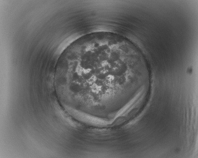 X0000110951121200907022151