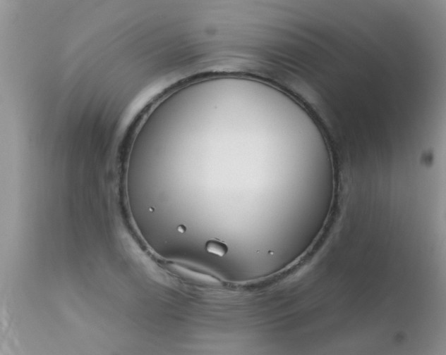 X0000110951122200907022151