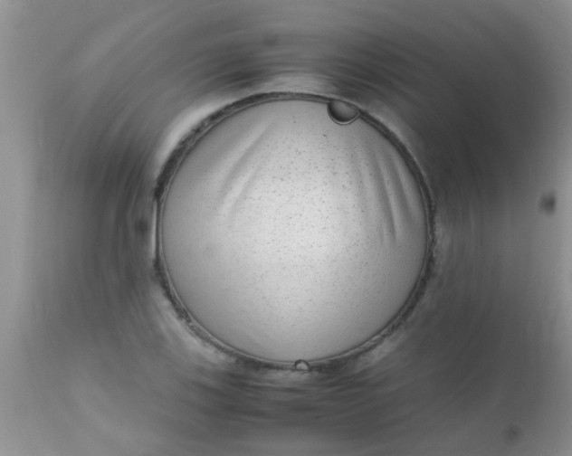 X0000110951123200907022151