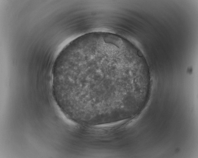 X0000110951125200907022151