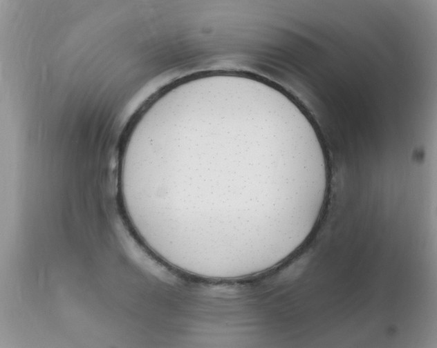 X0000110951126200907022151