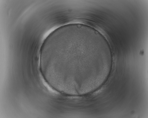 X0000110951127200907022151