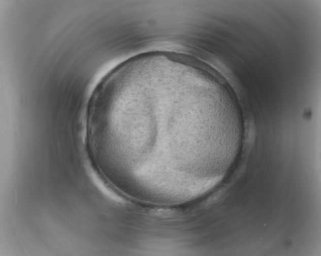 X0000110951128200907022151