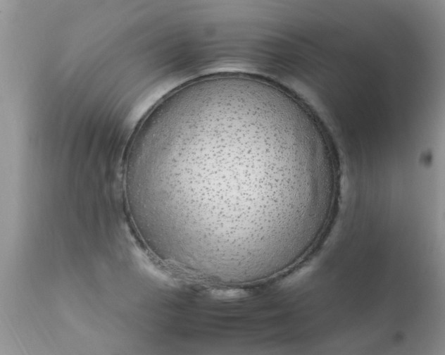 X0000110951129200907022151