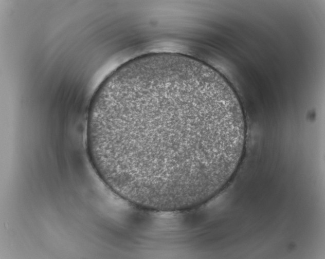 X0000110951130200907022151