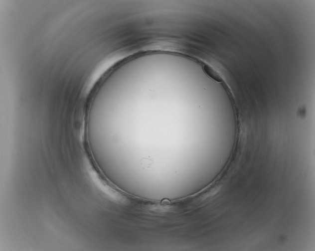 X0000110951131200907022151