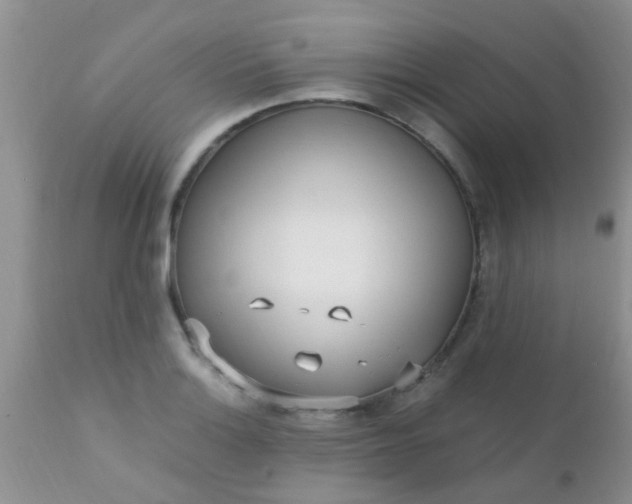 X0000110951132200907022151