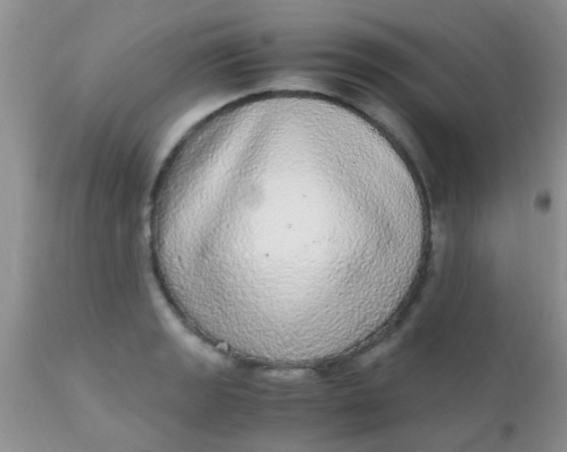 X0000110951133200907022151