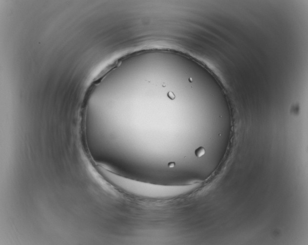 X0000110951134200907022151