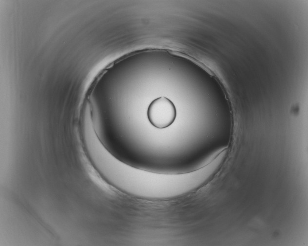 X0000110951136200907022151