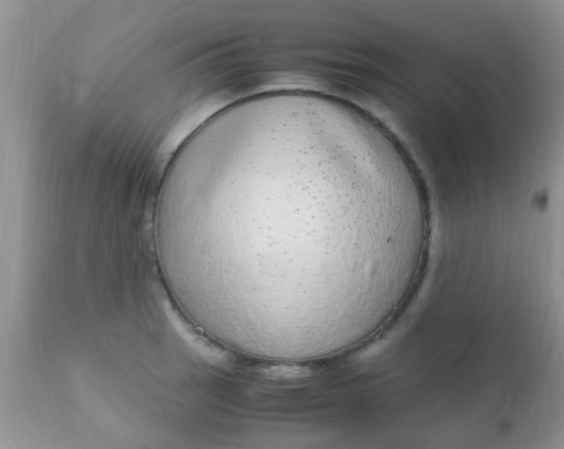 X0000110951137200907022151