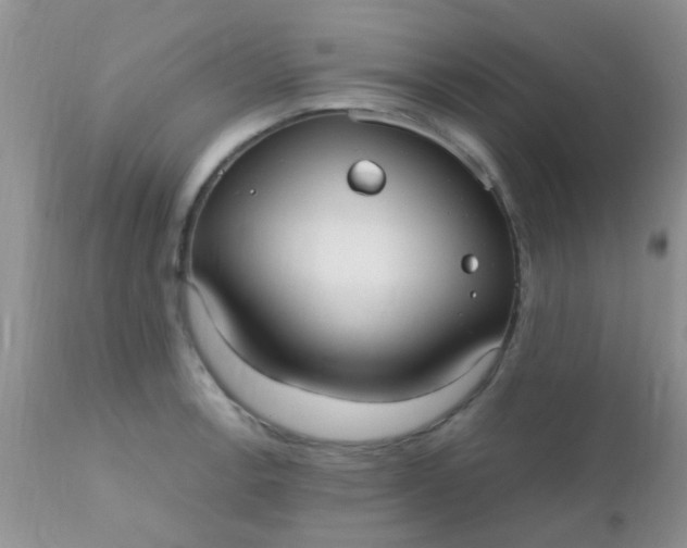 X0000110951138200907022151