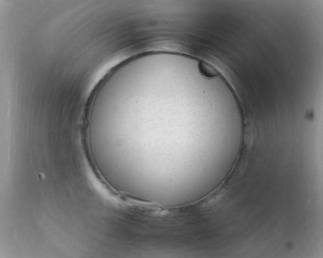 X0000110951139200907022151