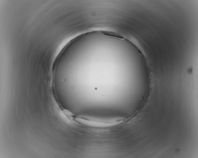 X0000110951140200907022151