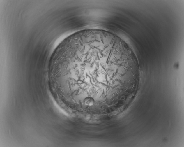 X0000110951141200907022151