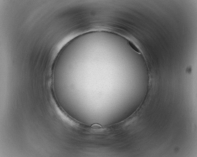 X0000110951143200907022151