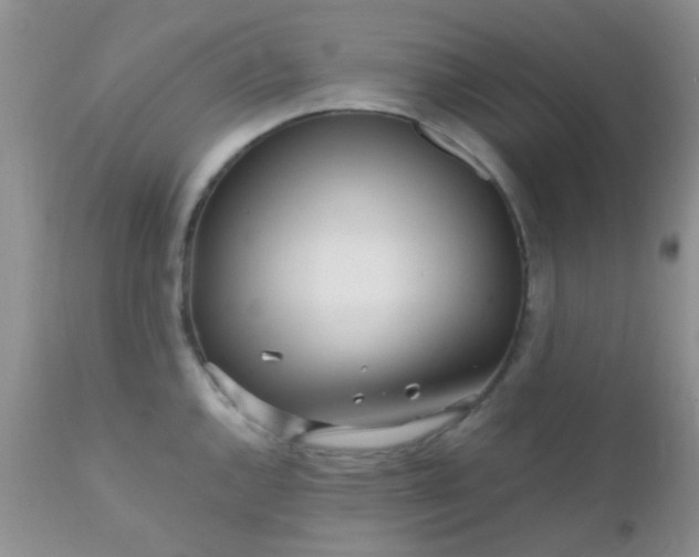 X0000110951144200907022151