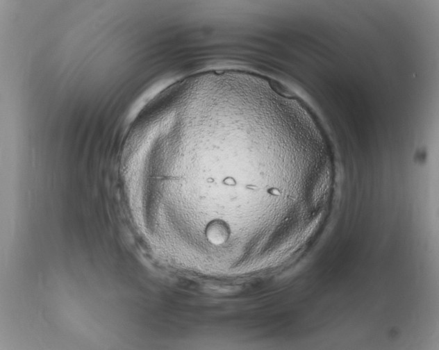 X0000110951145200907022151