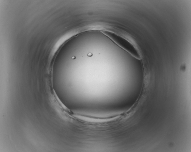 X0000110951146200907022151