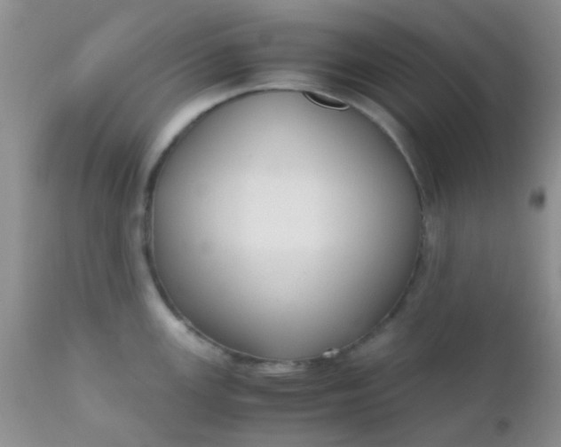 X0000110951147200907022151