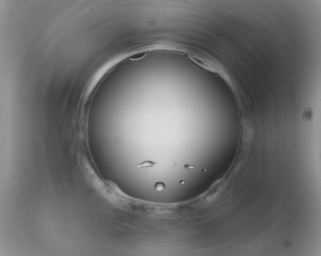 X0000110951148200907022151