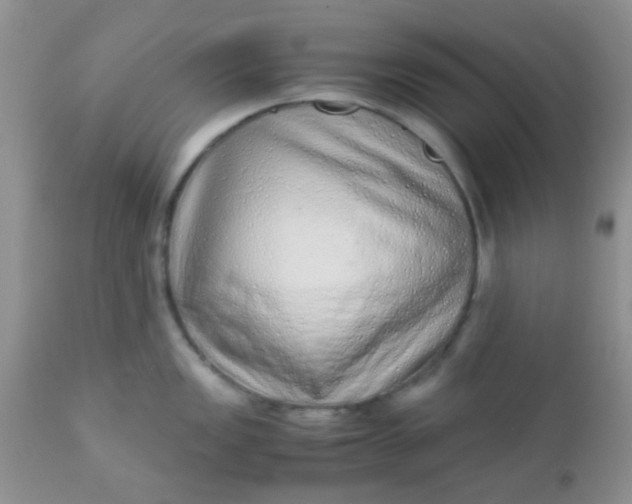 X0000110951149200907022151