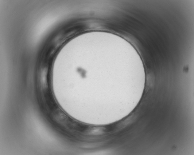 X0000110951150200907022151